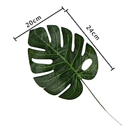 Лист монстери, 20х24 см (L)