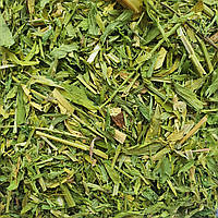 1 кг Галега/козлятник/козья рута трава сушеная  (Свежий урожай) лат. Galéga officinális