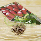 Редис Богиня 2 г Seedеra (рс), фото 3