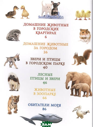 Купить Детская энциклопедия о природе и животных `Моя первая книга о ...