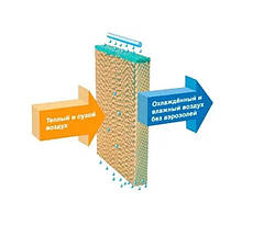 Паперова охолоджуюча панель 120х15х125 см(випарний водяний охолоджувач) для крільчатника, пташника, теплиць, фото 5