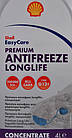 Shell Premium Long Life G12/G12+ червоний, 4 л (PBT75B) концентрат антифризу, фото 3