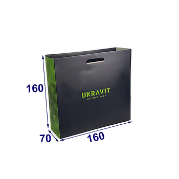 Подарунковий паперовий пакет дизайнерський з висічними ручками, 160х160х70 мм