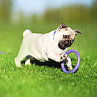 Фітнес-іграшка (12,5см, до 5 кг) для маленьких собак PULLER Micro / Тренувальні снаряди для карликових порід, фото 6