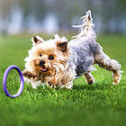 Фітнес-іграшка (12,5см, до 5 кг) для маленьких собак PULLER Micro / Тренувальні снаряди для карликових порід, фото 2