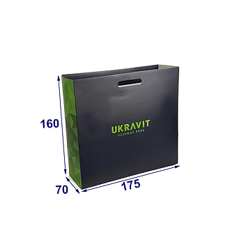 Паперовий пакет для подарунка з висічними ручками, 175х160х70 мм