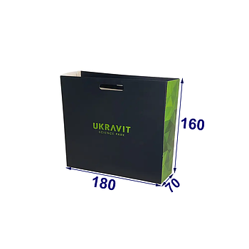Пакет зі щільного картону для пакування подарунка, 180х160х70 мм