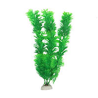 Рослина для декору акваріума 4x3x30cm зелена Foxtail