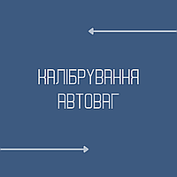 Ремонт калібрування налаштування діагностика автомобільних ваг Полтава