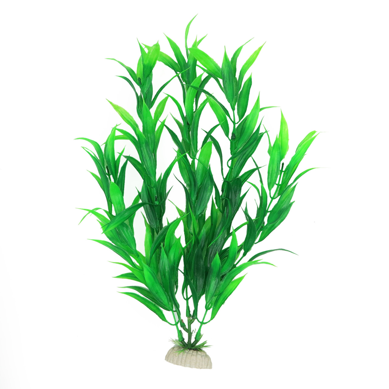 Рослина для декору акваріума 4x3x30cm зелена Hygrophila