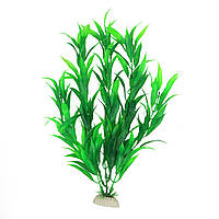 Рослина для декору акваріума 4x3x30cm зелена Hygrophila