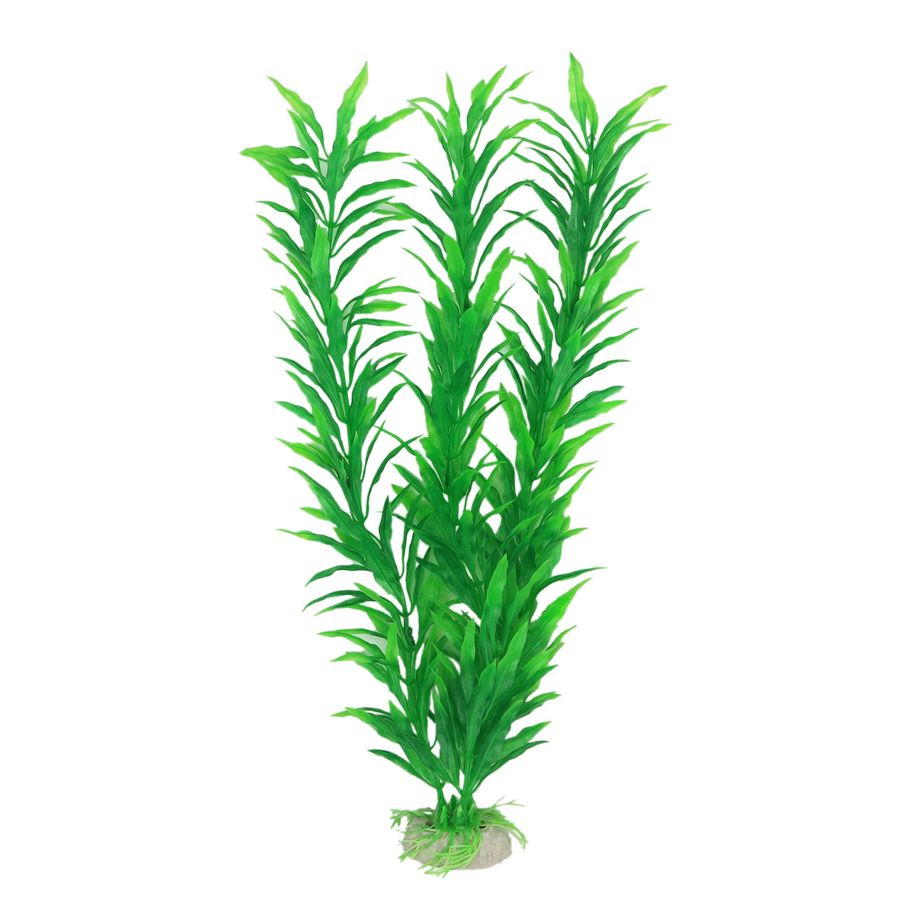 Рослина для декору акваріума 4x3x30cm зелена Hygrophila