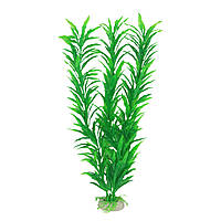 Рослина для декору акваріума 4x3x30cm зелена Hygrophila
