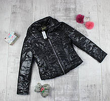 Курточка дитяча демежсезонна для дівчинки Рокі