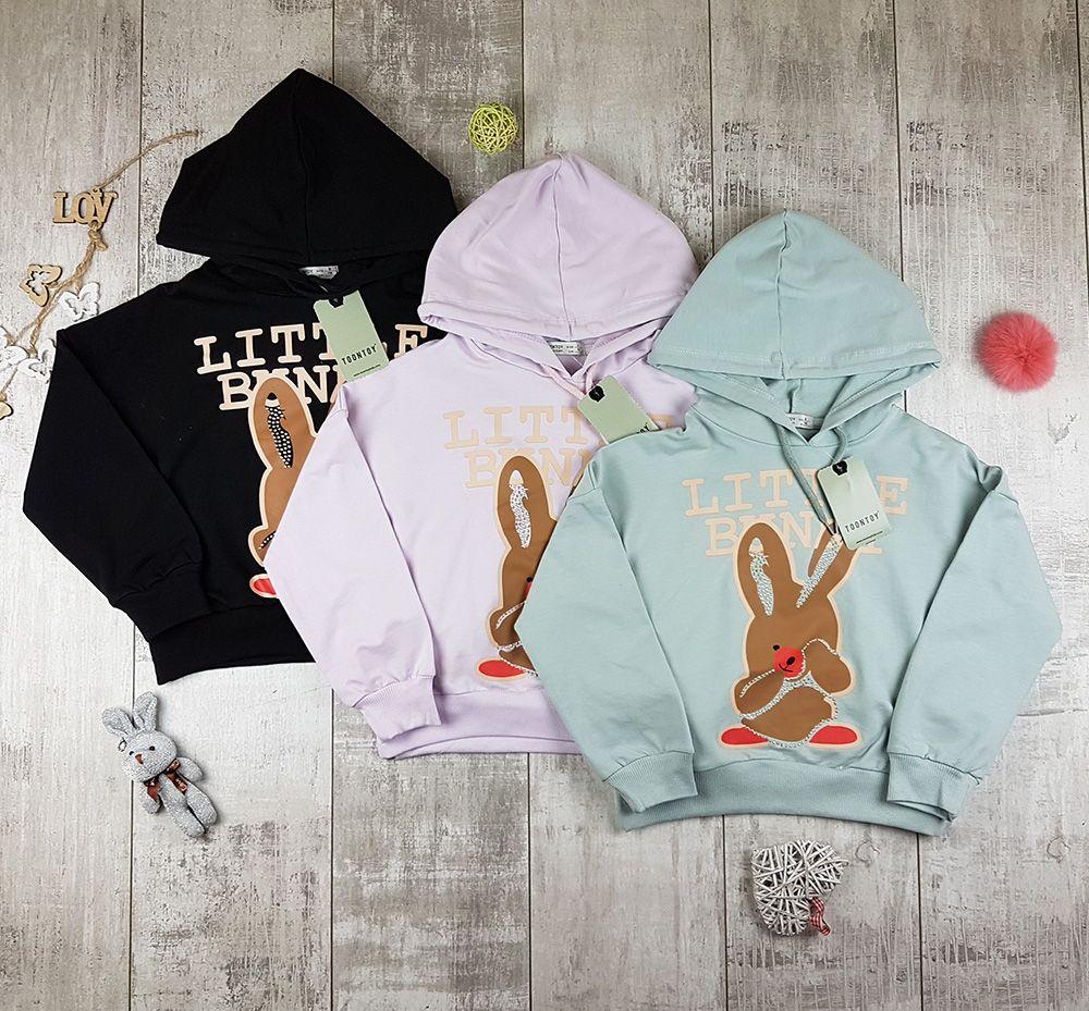 Худі підліткові двухнитка для дівчаток 16702