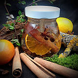 Декоративна гелева свічка Чародійка з кавою та цитрусами 2004-1, фото 5