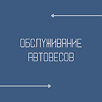 Обслуживание автомобильных весов Богодухов