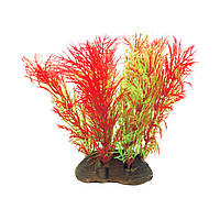 Растение для декора аквариума 6x5x10cm красно-зеленое Foxtail