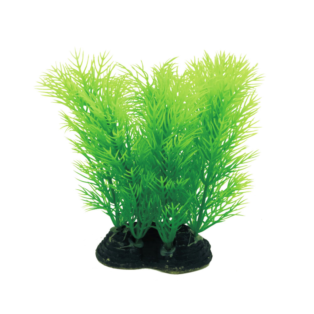 Рослина для декору акваріума 6x5x10cm зелена Foxtail
