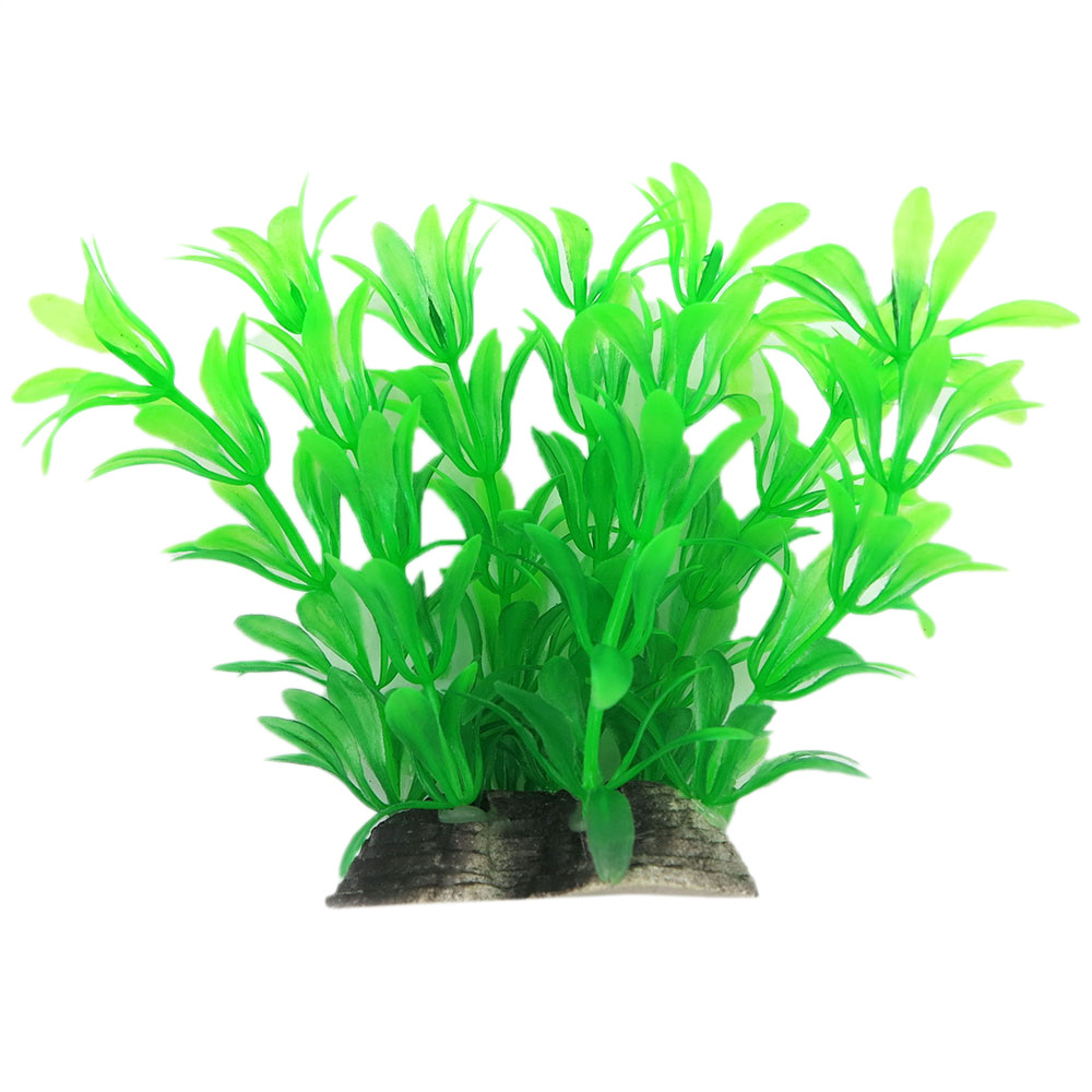 Рослина для декору акваріума 6x5x10cm зелена Hygrophila