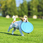 Тарілка (24 см) для тренувань та апортування собак PitchDog, Блакитна / Літаючий диск-фрісбі для собачок, фото 2