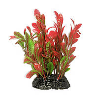 Растение для декора аквариума 6x5x10cm красно-зеленое Ludwigia