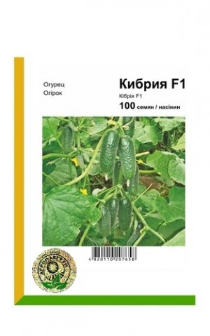 Огірок Кібрія F1, фото 1