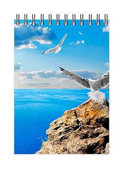 Блокнот Romus A6 96 аркушів у клітинку верхня спіраль (R44262)