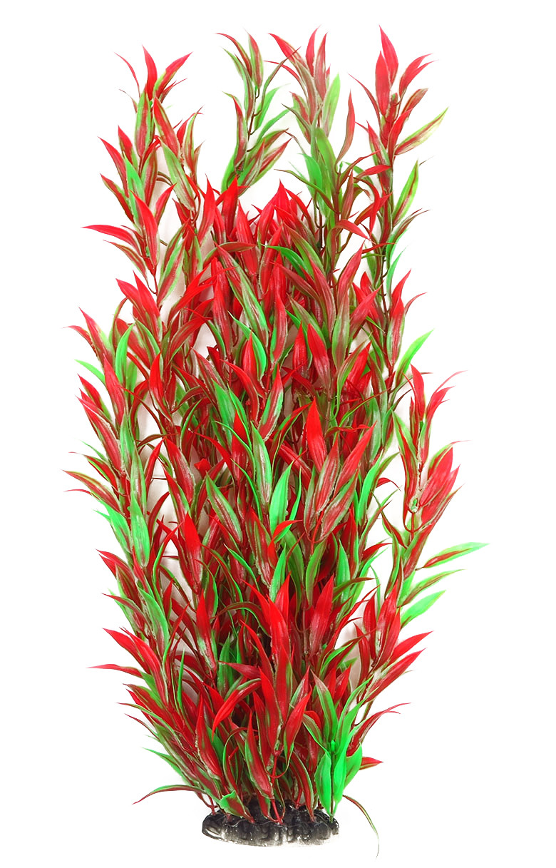 Рослина для декору акваріума 8x6x60cm червоно-зелена Hygrophila