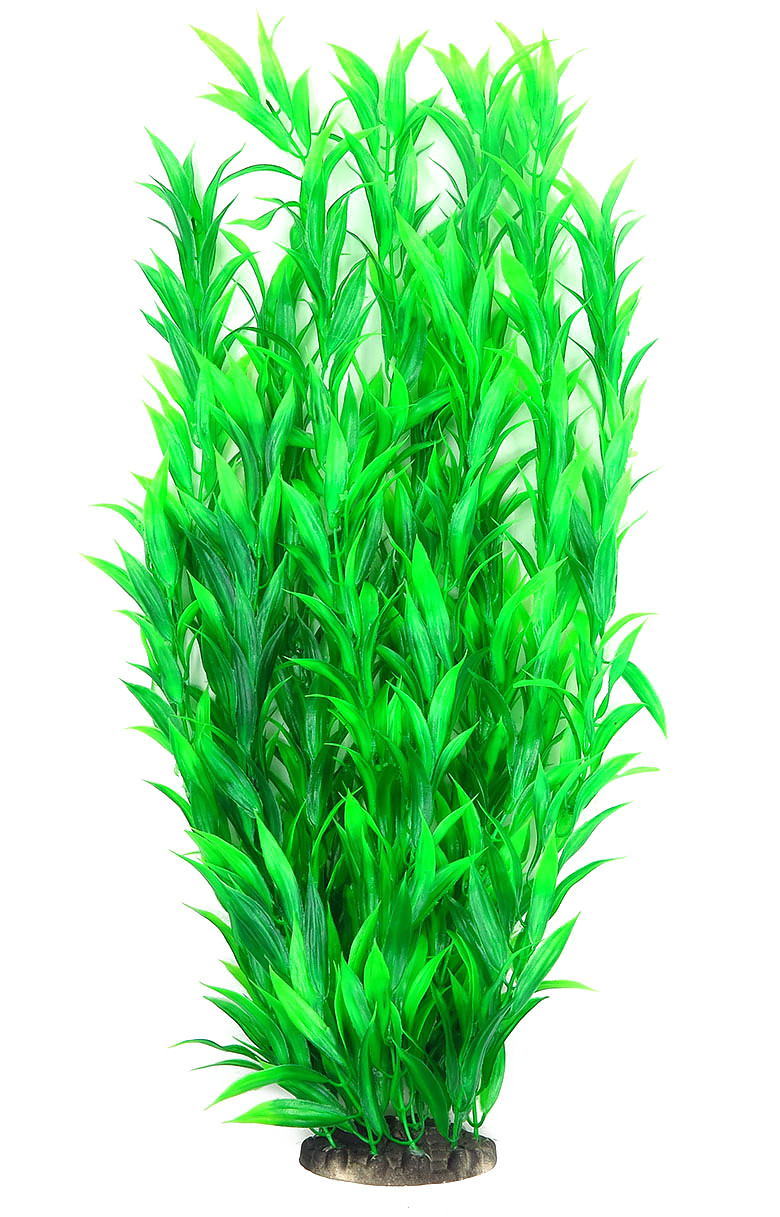 Рослина для декору акваріума 8x6x60cm зелена Hygrophila, фото 1