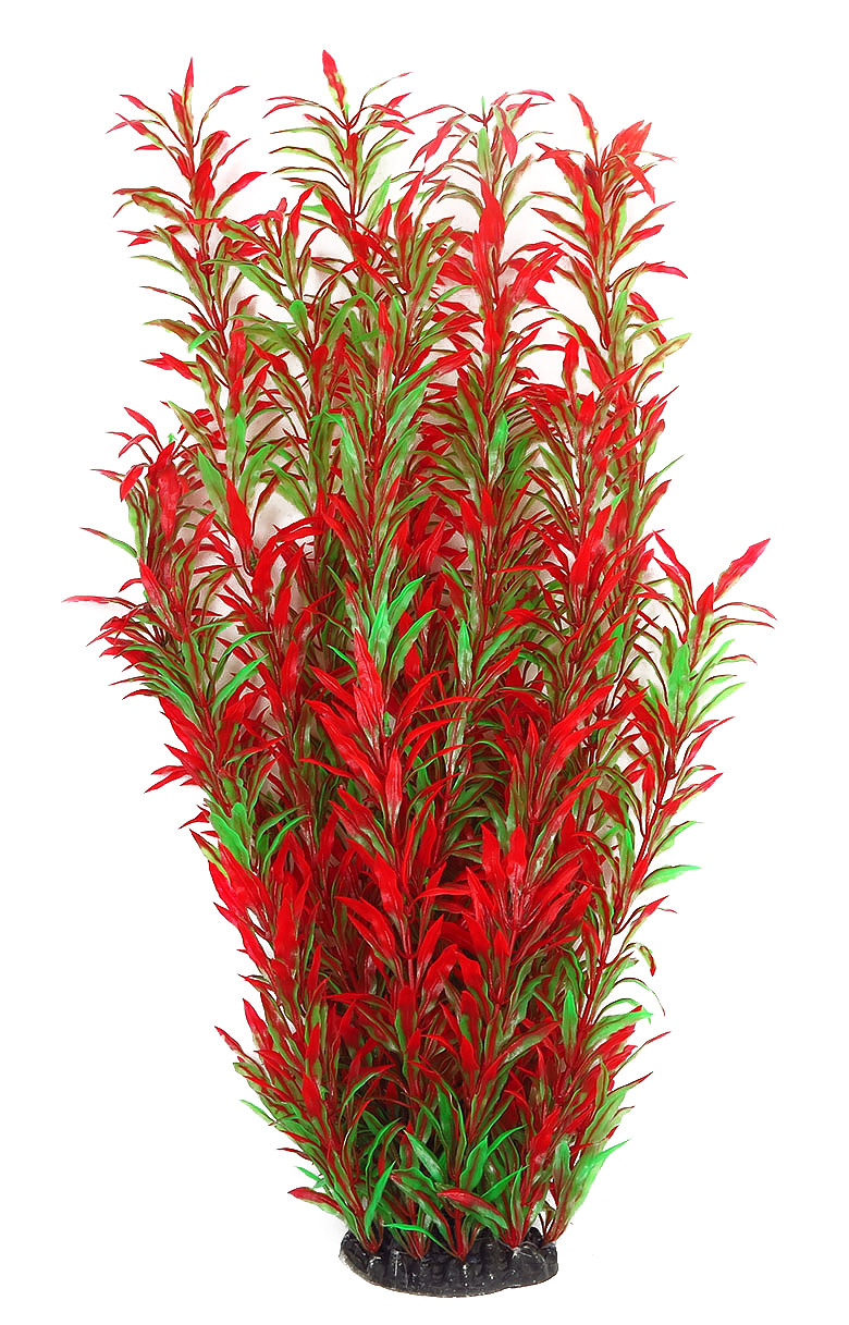Рослина для декору акваріума 8x6x60cm червоно-зелена Hygrophila