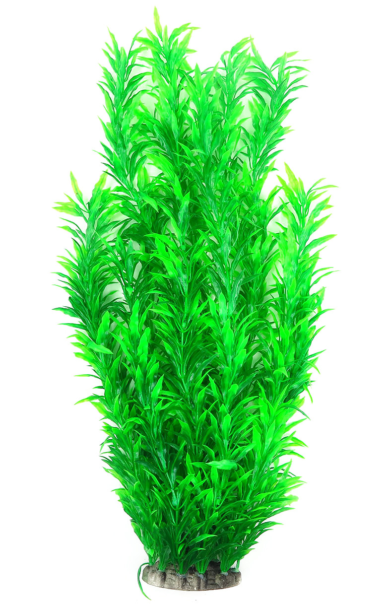 Рослина для декору акваріума 8x6x60cm зелена Hygrophila
