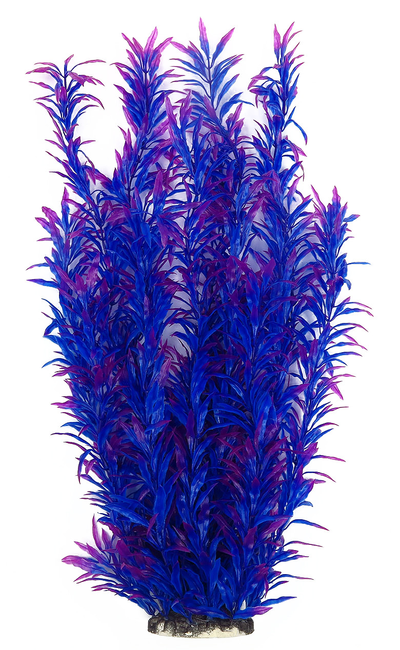 Рослина для декору акваріума 8x6x60cm синє Hygrophila