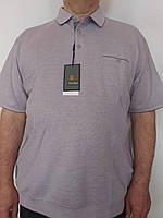 Мужская футболка поло Thomas 6XL , 7XL 8XL 9XL