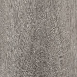 ПВХ плитка AW Primus Royal Oak Nordic 91 /безкоштовна доставка/, фото 2