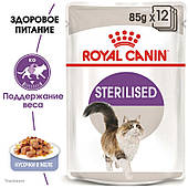 Корм вологий для стерилізованих кішок і кастрованих котів  Royal Canin Sterilised Jelly 12шт х 85 г в желе