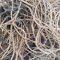 1 кг Гравилат речной корень сушеный (Свежий урожай) лат. Geum rivale