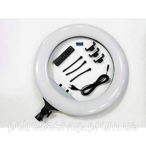 Купить Кольцевая LED лампа RL-21 54см 220V 3 крепл.тел. + пульт + чехол ...