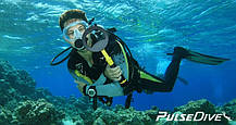 Nokta Pulse Dive - підводний металошукач і Пінпоінтер, фото 2