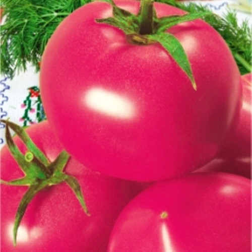 Насіння томатів Дар Заволжя рожевий