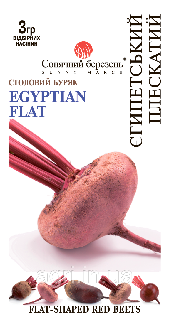 Буряк Єгипетський плескатий, 3гр.