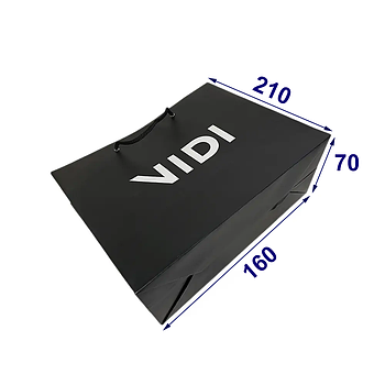 Паперовий подарунковий пакет із логотипом із крейдованого паперу, 160х210х70 мм