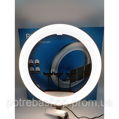 Купить Кольцевая LED лампа RL-21 54см 220V 3 крепл.тел. + пульт + чехол ...