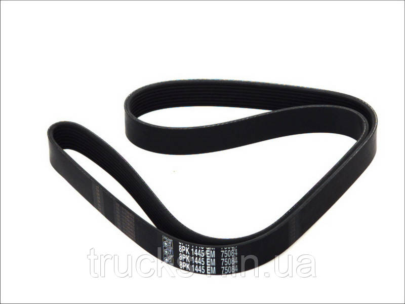 Доріжковий пас 4.80720 (Diesel Technic), фото 1