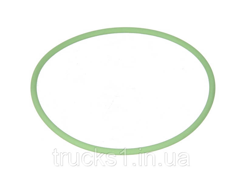 Кругла прокладка 1.24425 (Diesel Technic), фото 1