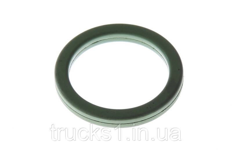 Кругла прокладка 2.11110 (Diesel Technic), фото 1