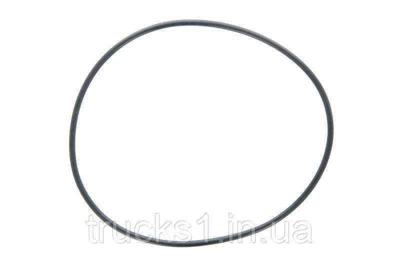 Кругла прокладка 1.16318 (Diesel Technic), фото 1