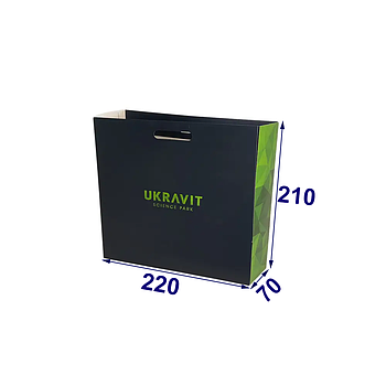 Преміальний пакет для подарунка з висічними ручками, 220х210х70 мм