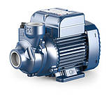 Pedrollo PKm 200 Вихровий насос, фото 2