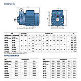 Pedrollo PKm 100 Вихровий насос, фото 3